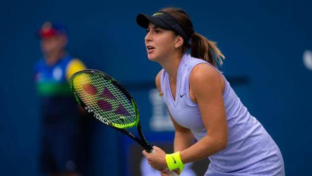 微米级的偏 微米级的偏