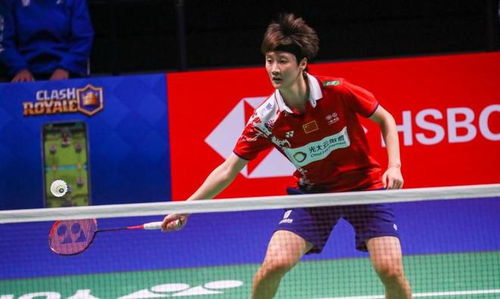 小龙堆叠 小龙堆叠